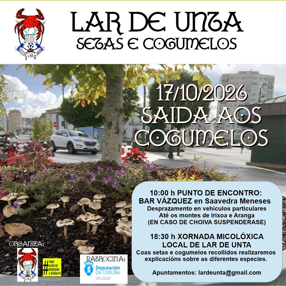 Cartel da saída aos cogumelos de Lar de Unta do 17 de outubro de 2026