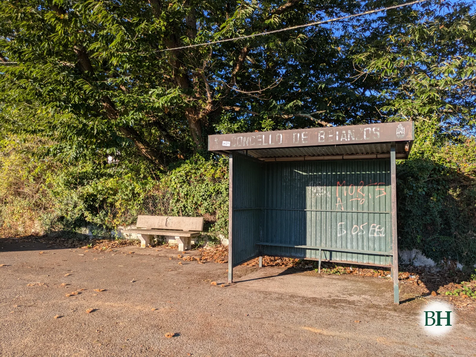 Marquesiña de parada de autobús de chapa verde co rótulo «Concello de Betanzos» e pintadas, xunto a un banco de pedra baixo árbores, sobre solo asfaltado con follas secas.